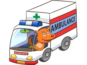 Cartoon Ambulance Puzzle